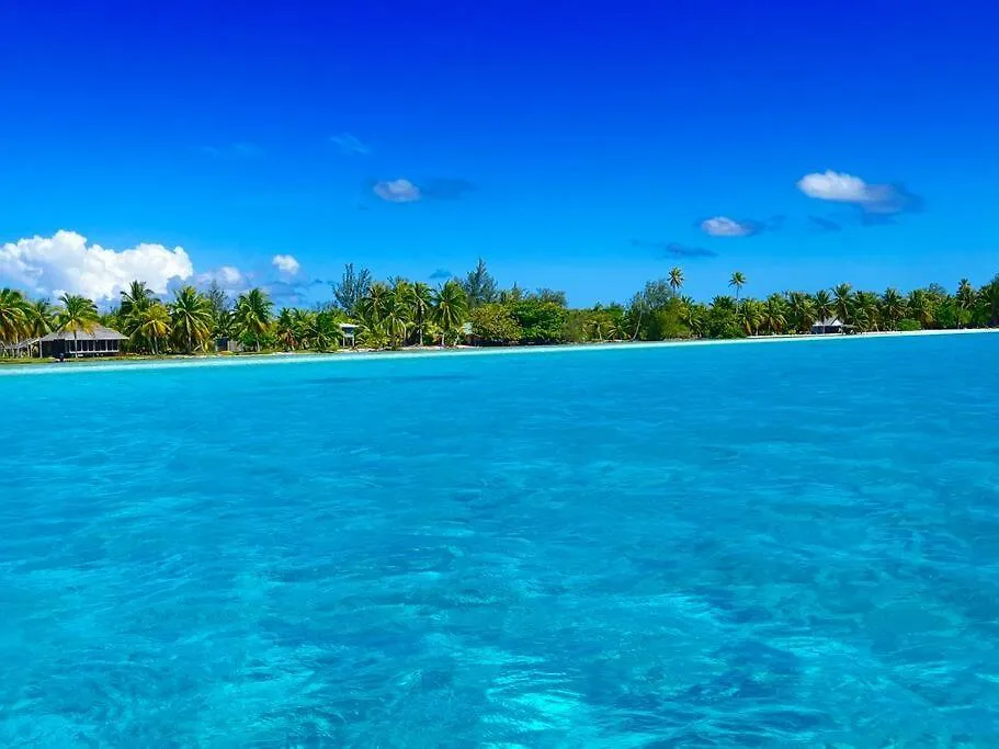 Blue Coral House, Luxury Waterfront Villa Maroe